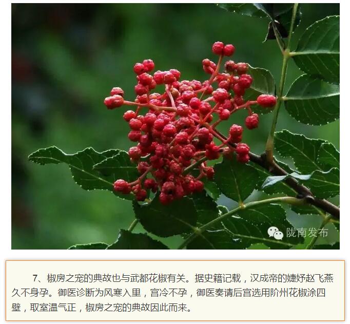 蘭渝鐵路最早由孫中山先生提出？在隴南，你不知道的事兒還有……