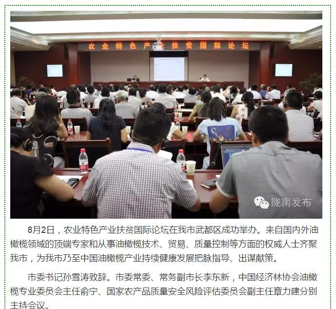 大腕齊聚農(nóng)業(yè)特色產(chǎn)業(yè)扶貧國際論壇，“把脈”隴南油橄欖發(fā)展