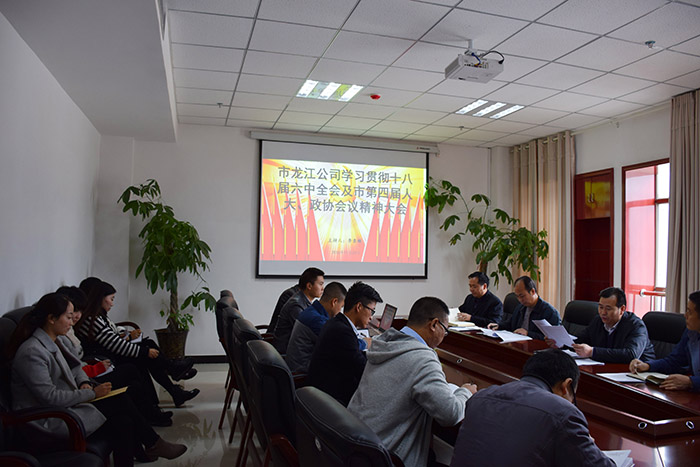 市龍江公司召開全體員工大會，專題傳達(dá)學(xué)習(xí)上級會議精神