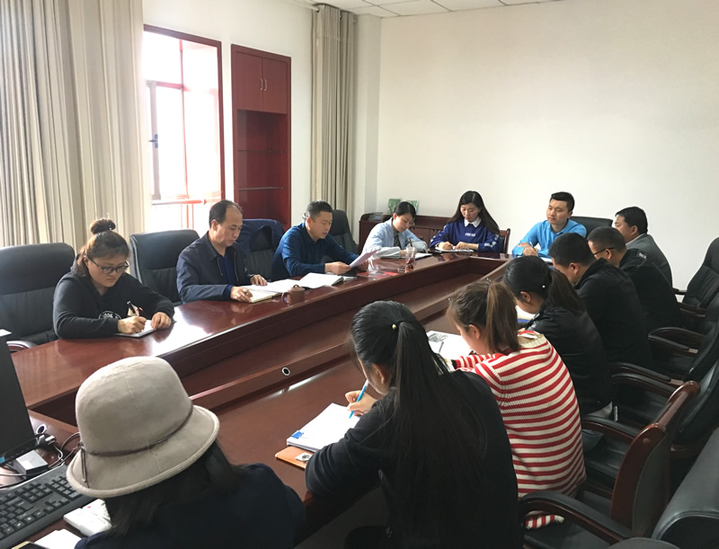 市龍江城鄉(xiāng)發(fā)展集團(tuán)專題學(xué)習(xí)近期中央、省、市紀(jì)律檢查委員會議精神